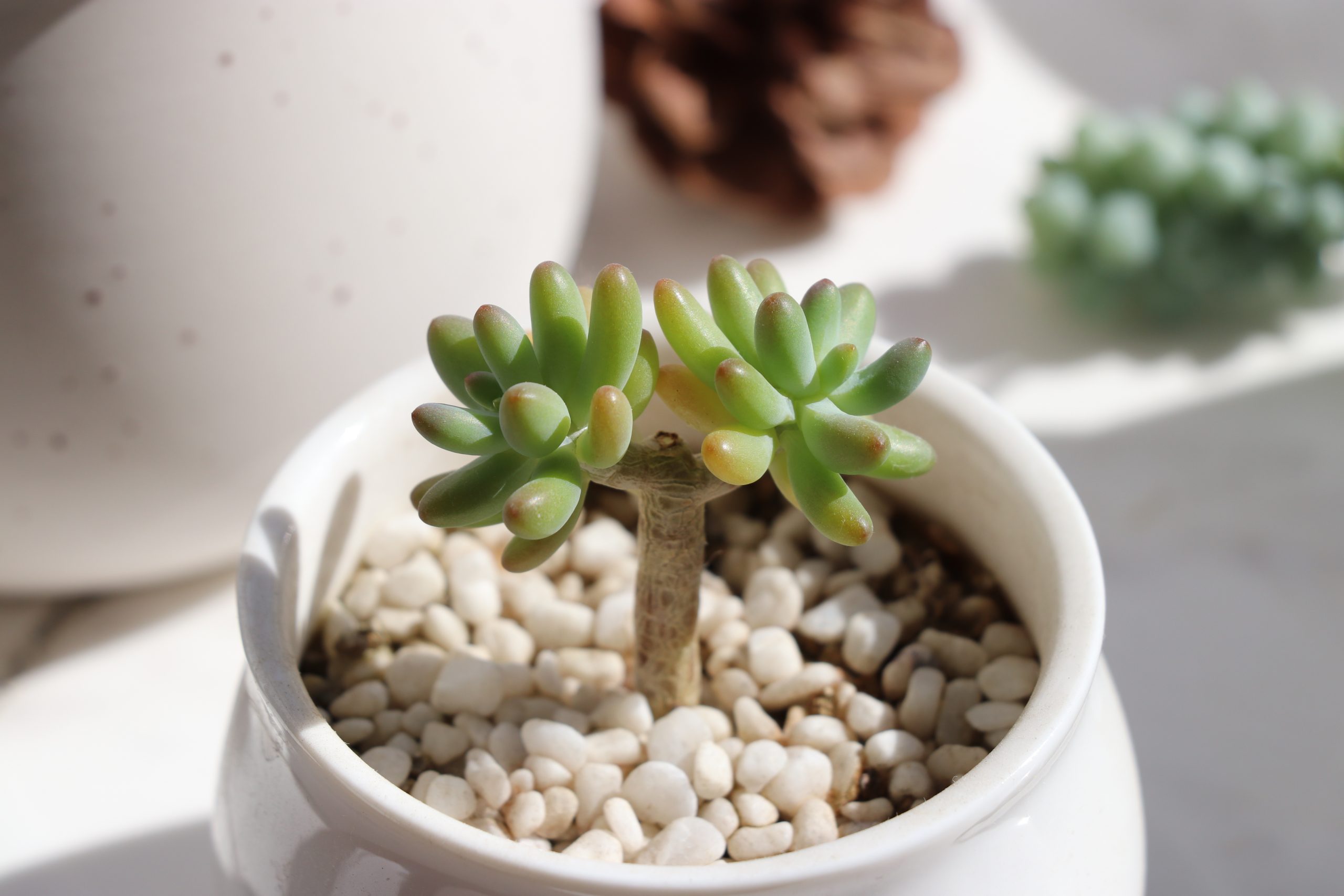 月度归档： <span>2022 年 7 月</span>