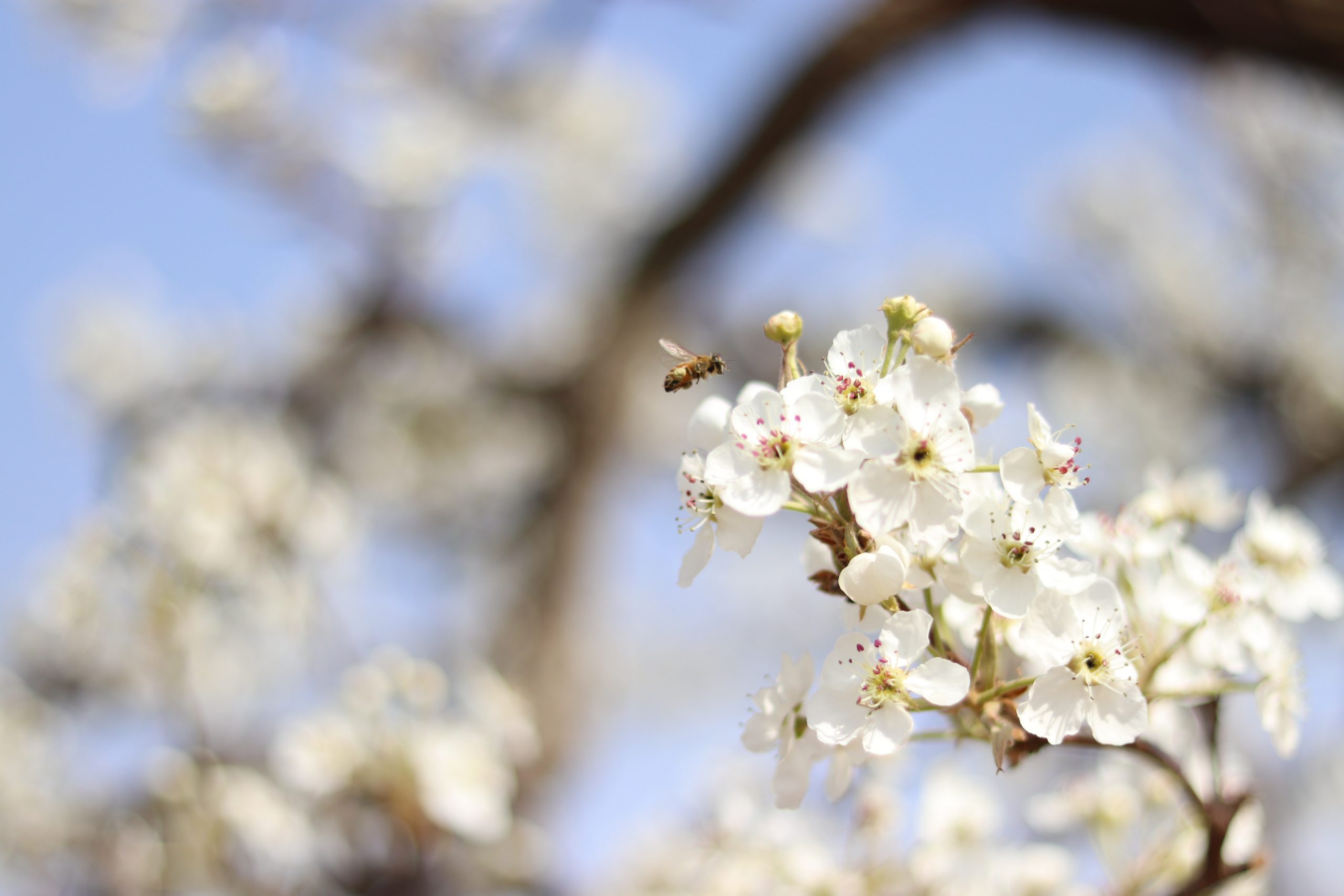 月度归档： <span>2022 年 4 月</span>