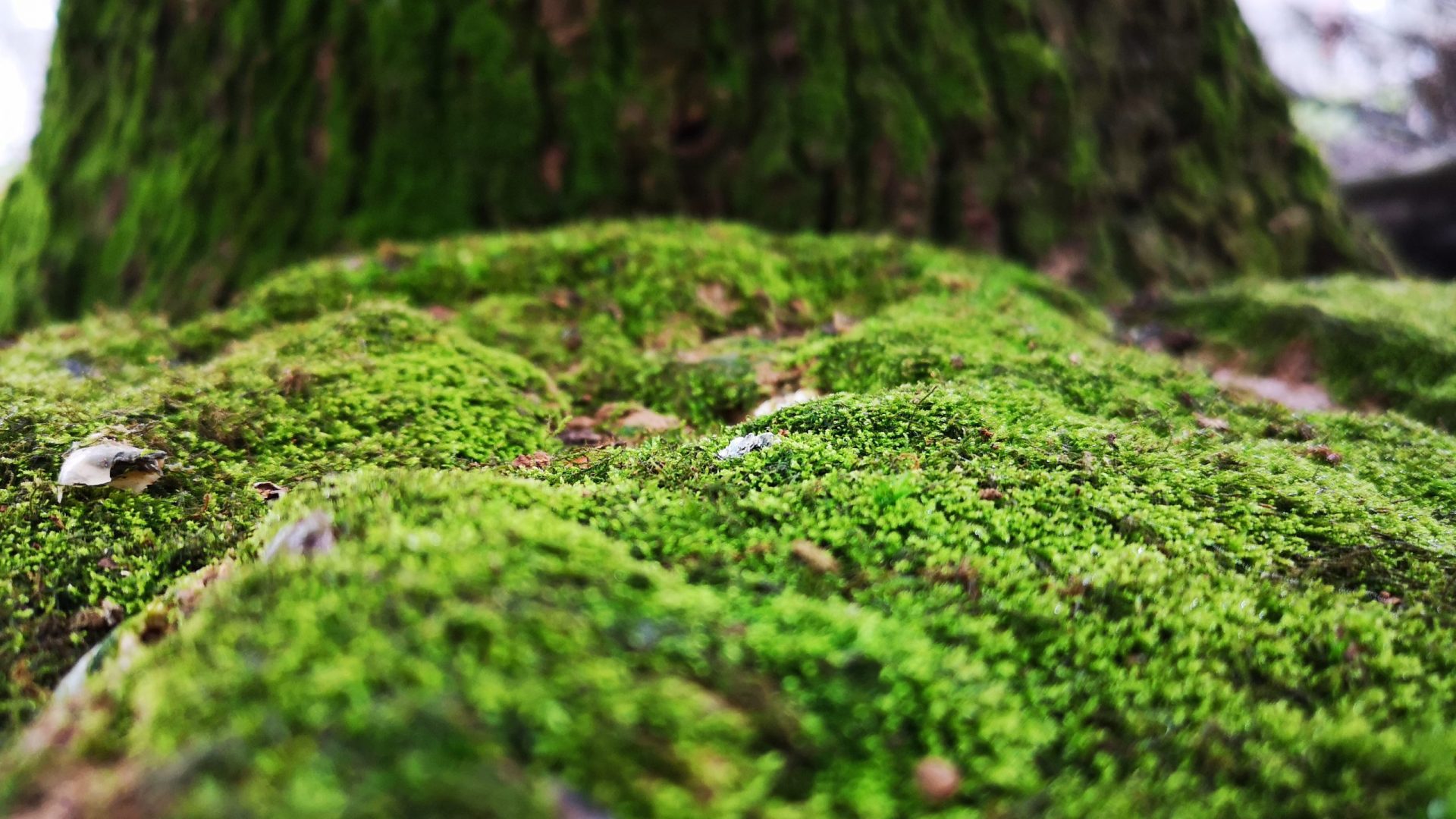 月度归档： <span>2022 年 8 月</span>